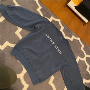 Anine Bing sweatshirt...